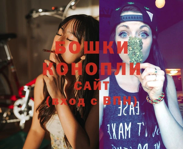 спайс Кулебаки