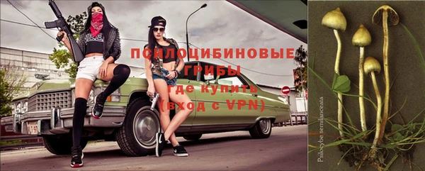твердый Кукмор