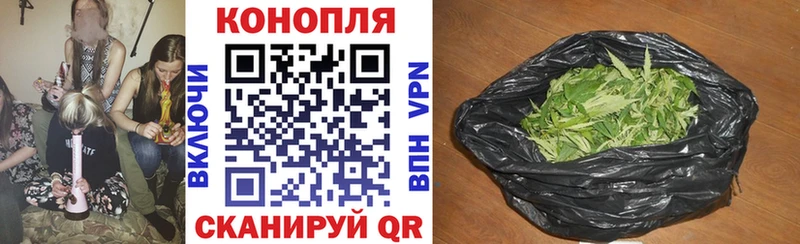 Шишки марихуана сатива  Купить где  Луза 